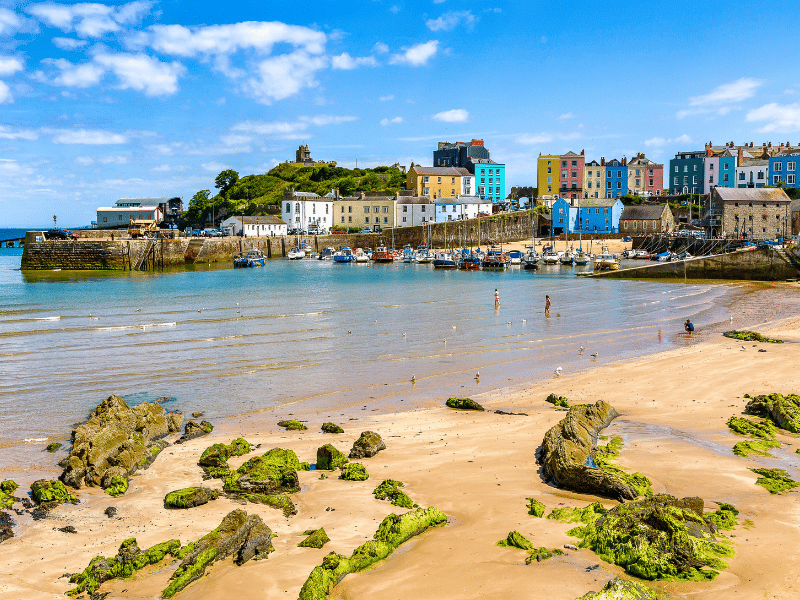 brightly painted houses lining a sand shore with boats