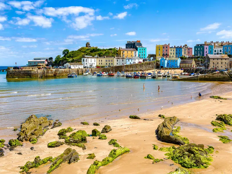 brightly painted houses lining a sand shore with boats