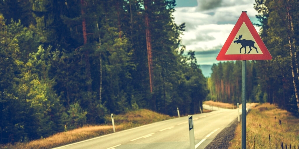 Road in Norway with triangle warning sign for moose on the road