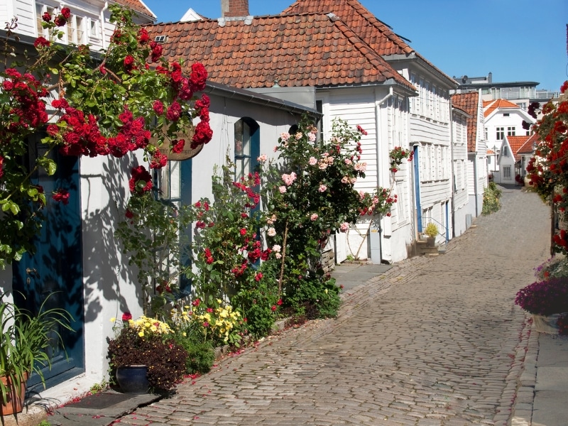 White houses in a narrow cobbled street with roses around the doors