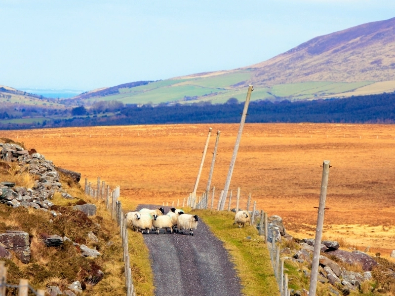 camper van travel in ireland