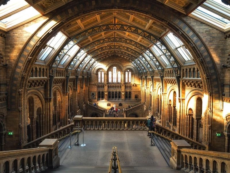 Central hall of the Natural History Museum