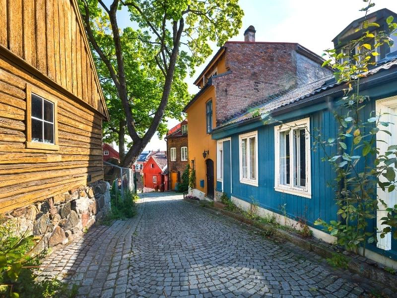 colorful houses lining a cobbled street
