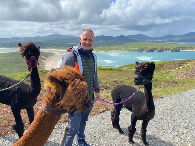 man with three lamas with a turquuoise sea in the background