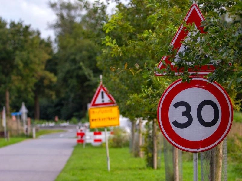 Road speed sign on a road lined with trees