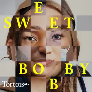 This image shows a girl's face made up of multiple squares with different people's faces, across the top in staggered yellow text is SWEET BOBBY