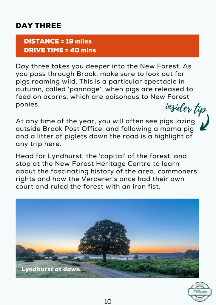 New Forest & Dorset Motorhome Itinerary | The Gap Decaders