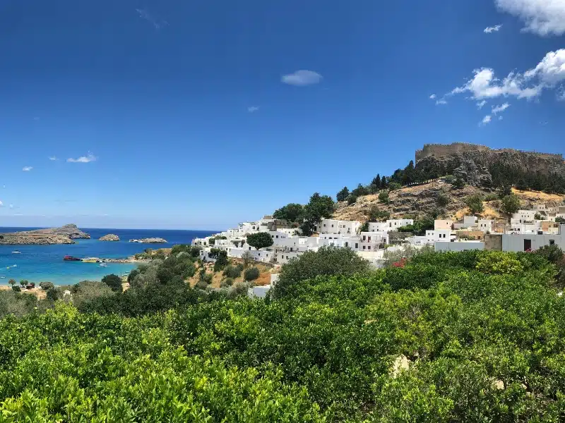 white painted low rise houses seen over orange trees against a blue bay