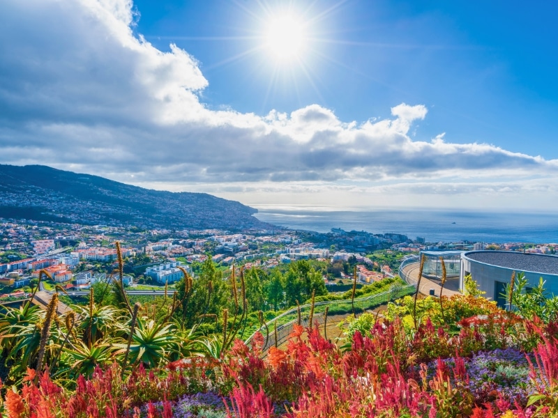 seaside city built on a hillside seen through brightly colored flowers