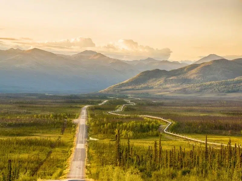 Lomg road syrrounded by green fields and trees following a pipeline towards mountains in the distance