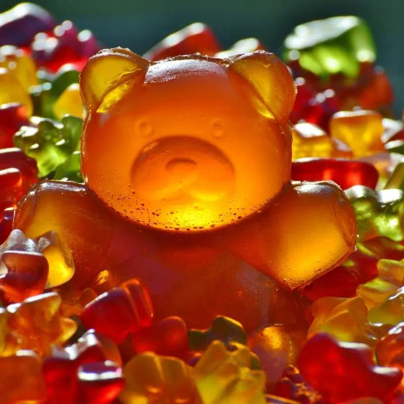 A large gummy bear surrounded by small gummy bears in all colours.