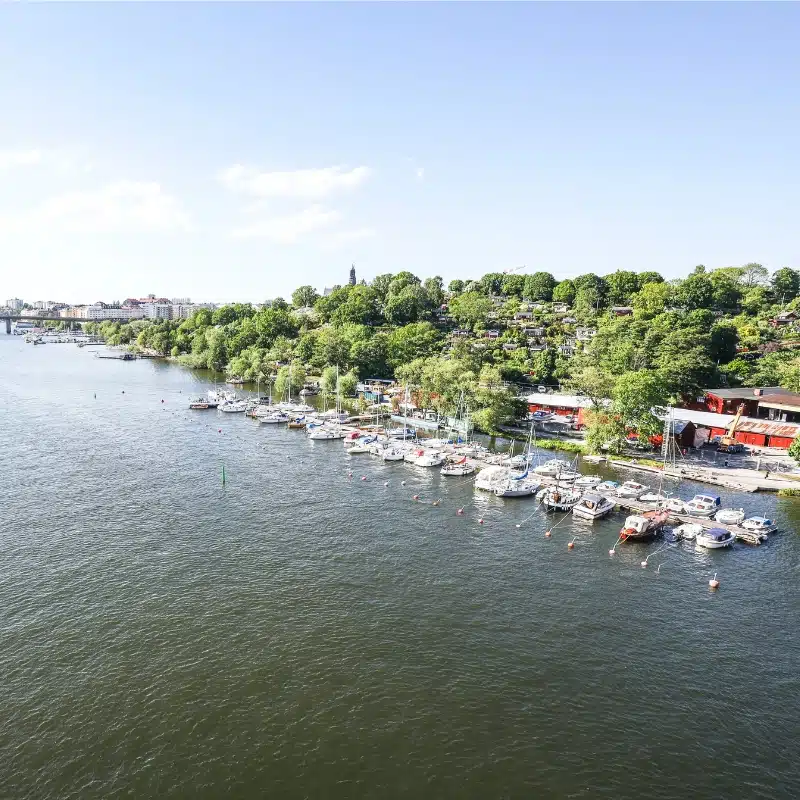 An image of the river and on the bank a bunch of small boats, with some red buildings in the background.