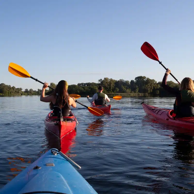 An image of 3 people kayaking ion the Archipelago