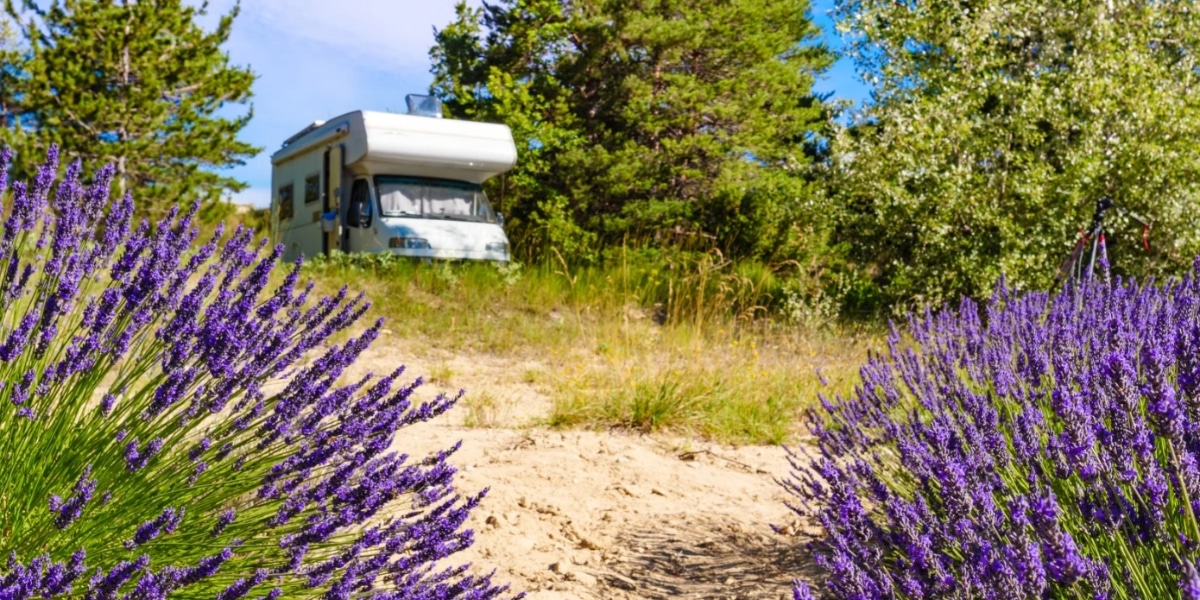 Nos Camping Cars – L'Aventure Camping Car Dijon