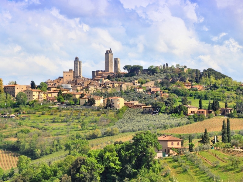 Traditioanl italian village on a vineyard covered hill with many towers