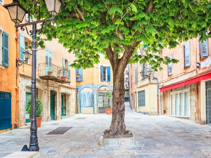 Small paved square lined with pastel painted houses with a leafy green tree in the middle