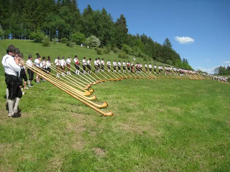 Group of people in meadow arranged  in a line with alphorns