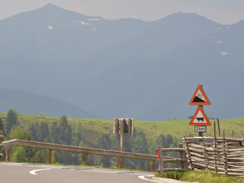 mountain road in austria with road signs warining of gradient and cows
