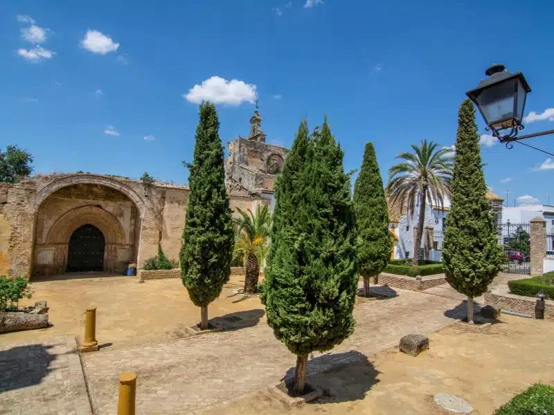 old buildings and Cypress trees in a small square