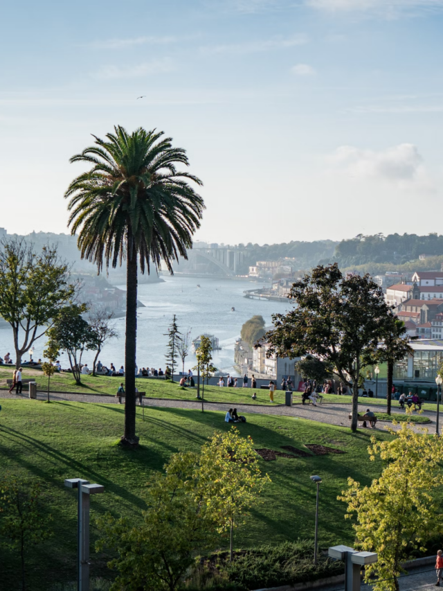 A Day in Porto Definitive Guide