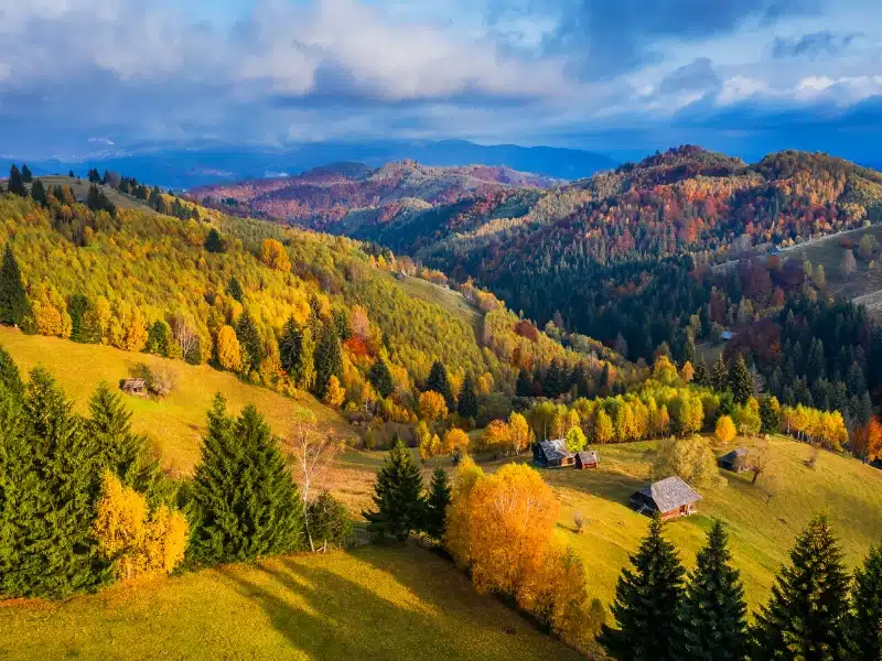 Forested hills and distant mountains in fall