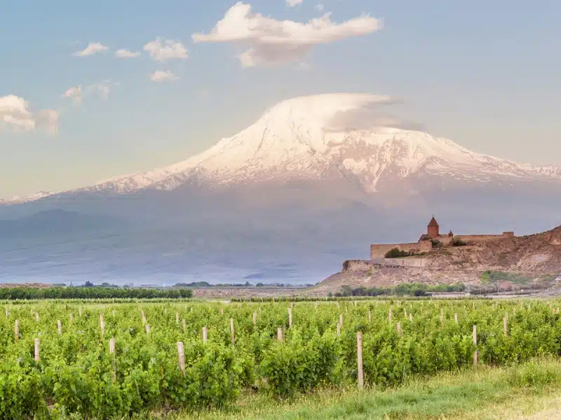 vineyard in the shadow of Mount Ararat with a monastery in the distance