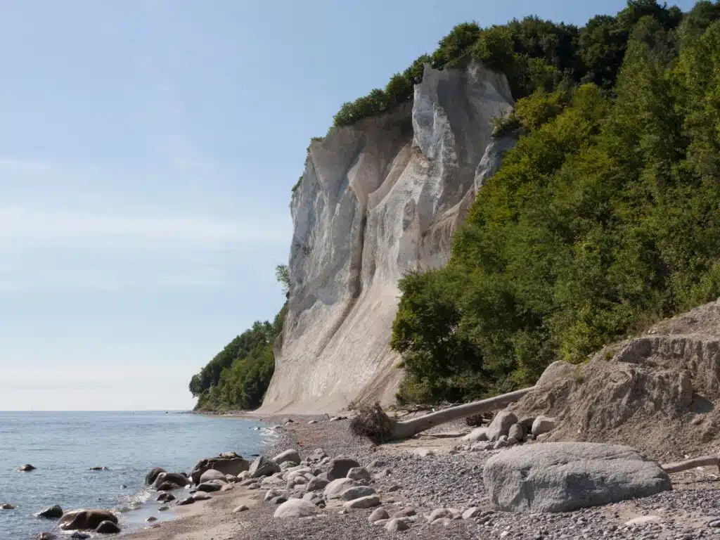 White cliffs above a narrow pebble beach and sea, with trees around the cliffs