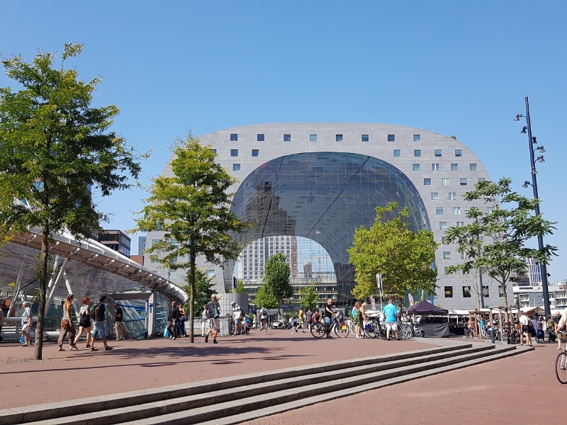 Modern buildings in Rotterdam's market square