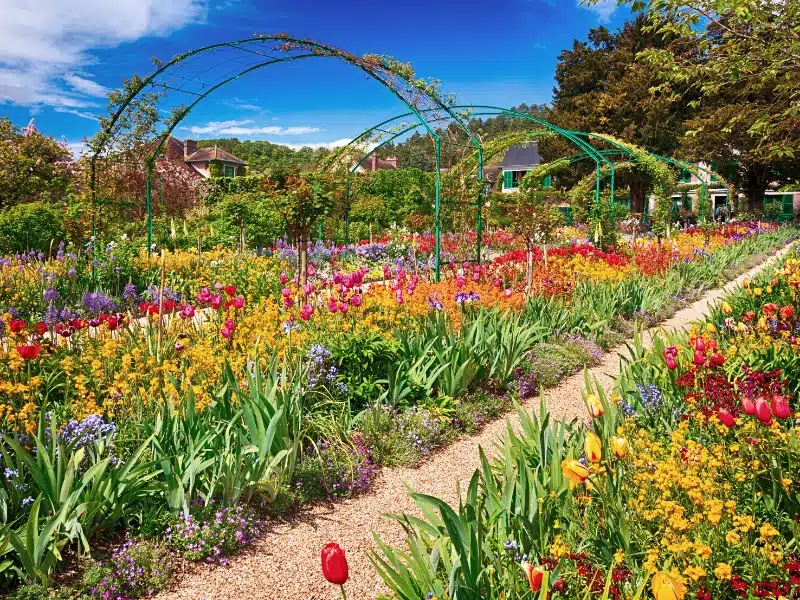 Colorful tulips and flowers in a gravelled garden in France