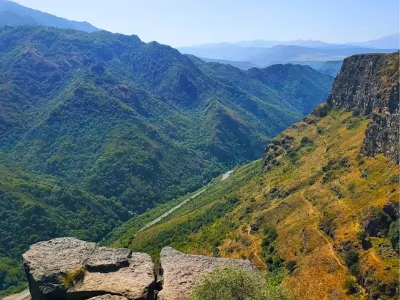 deep canyon surrounded by trees and vegetation