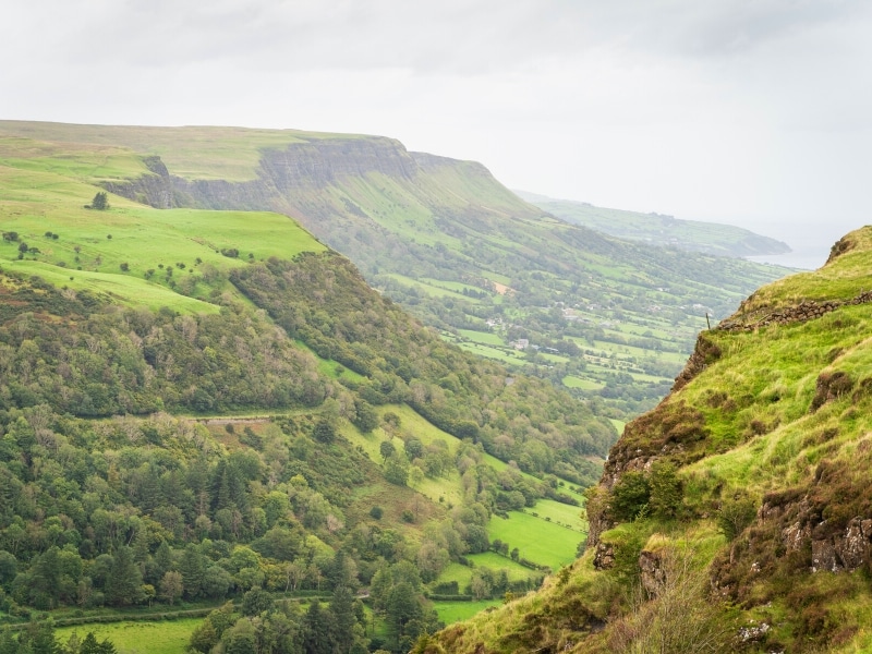 Trees and fields carpeting a glen in Northern Ireland