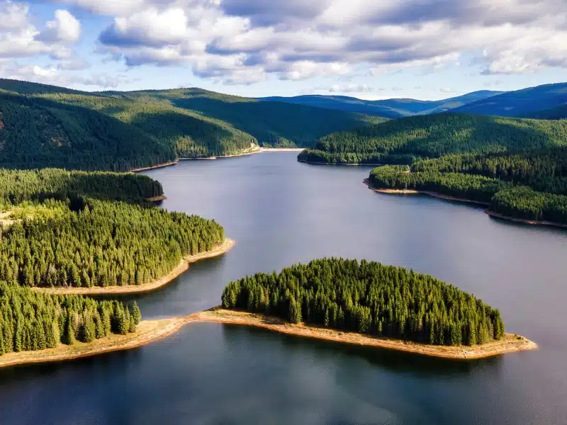 Dam surrouned by trees