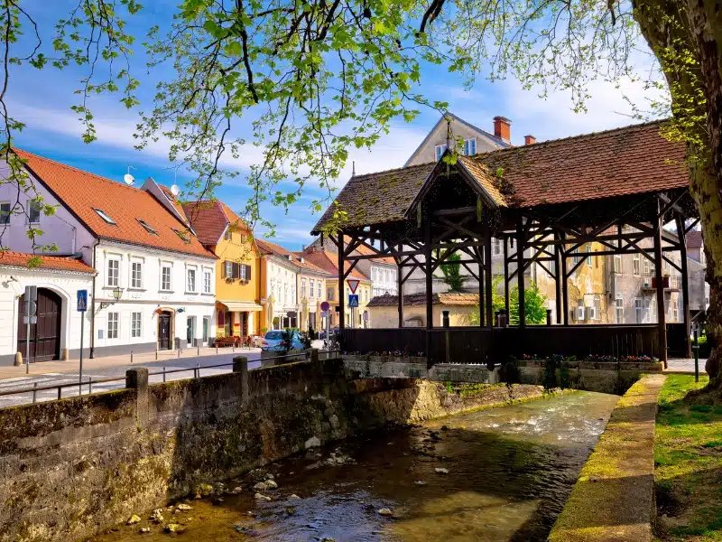 wooden roofed bridge over a river by a road