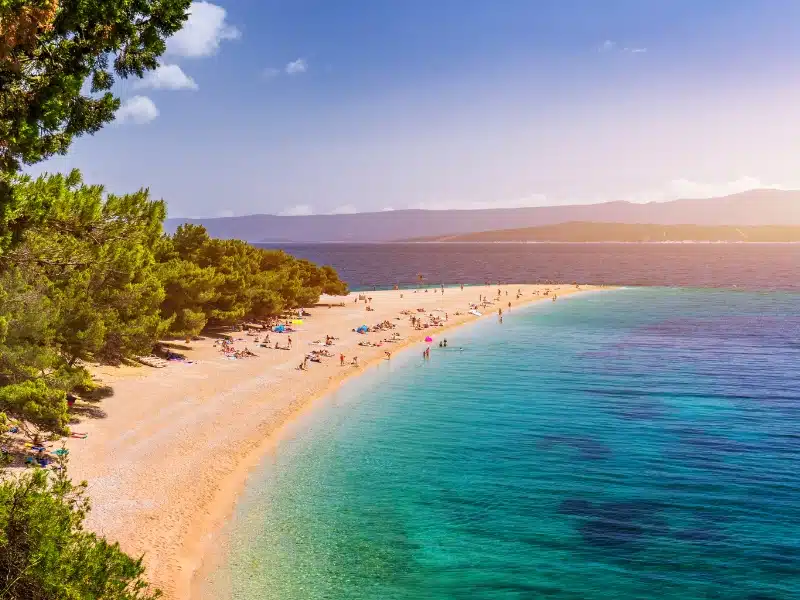 sandy beach with turquoise sea backed by pine trees