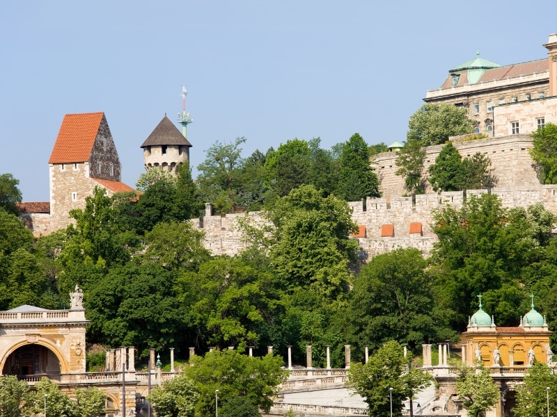 An image of an old fortified castle surrounded by trees