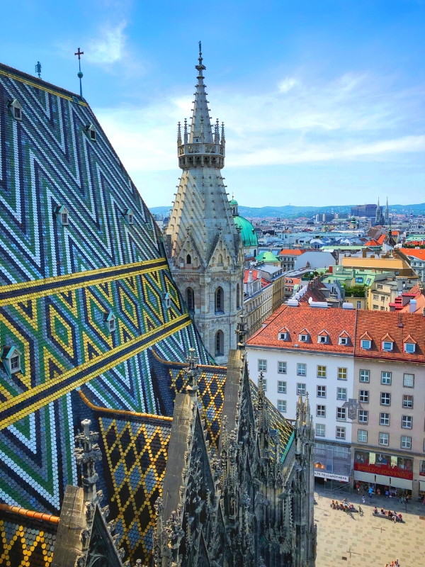Tiled cathedral roof with a city in the background