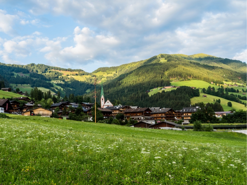 grassy Alpine meadows with a town and green topped church spire