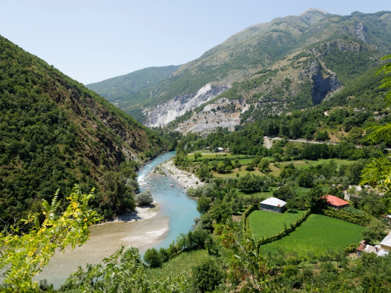 high mountain river surrounded by trees and green fields