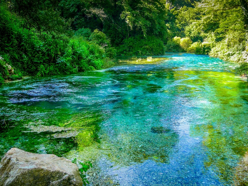 bright blue and green clear water surrounded by trees