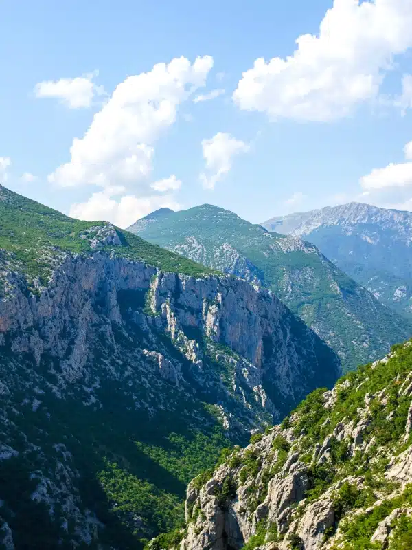 forested and rock mountains in Croatia