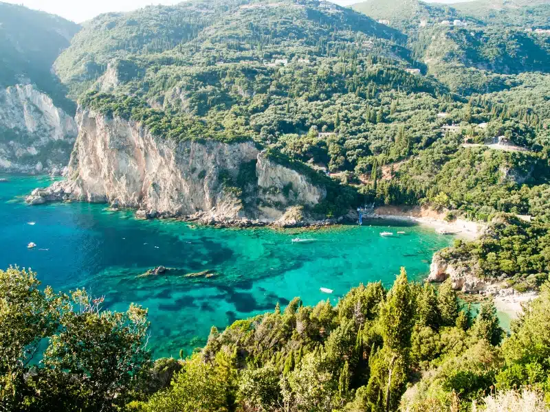 Turquoise clear sea backed by rocky cliffs covered in trees