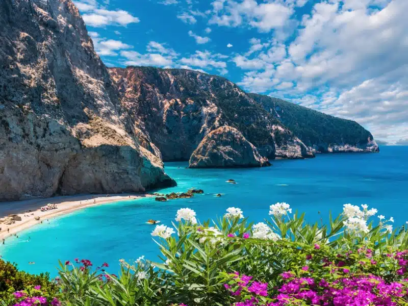 pink and white flowers in the foreground with sea, rocky cliffs and a sandy cove in the background