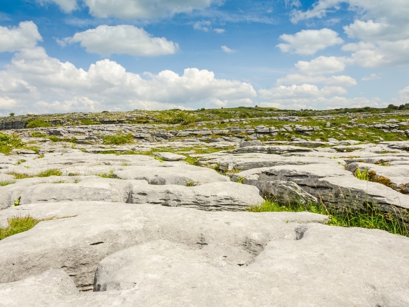 Stone slabs surrsounded by grass