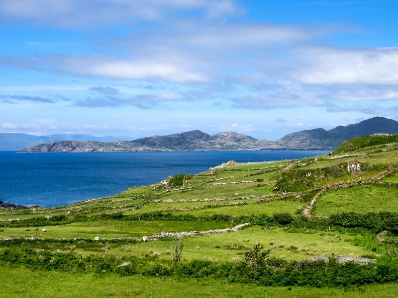 Stone walled fields down to blue sea