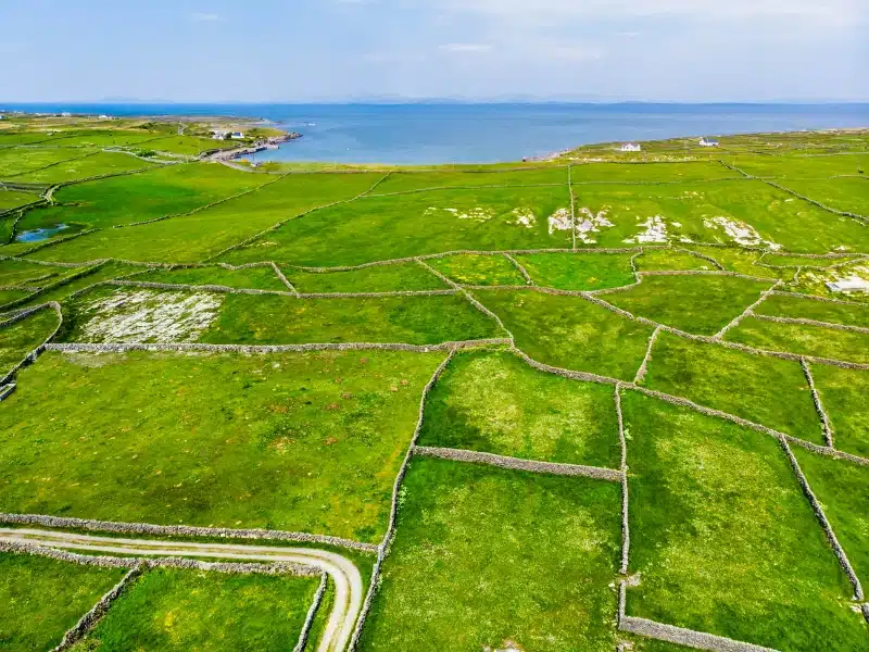 Stone walled fields by the sea