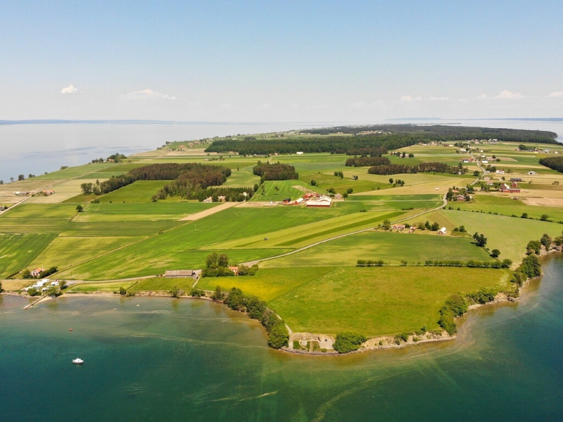 green fields and farm buildings