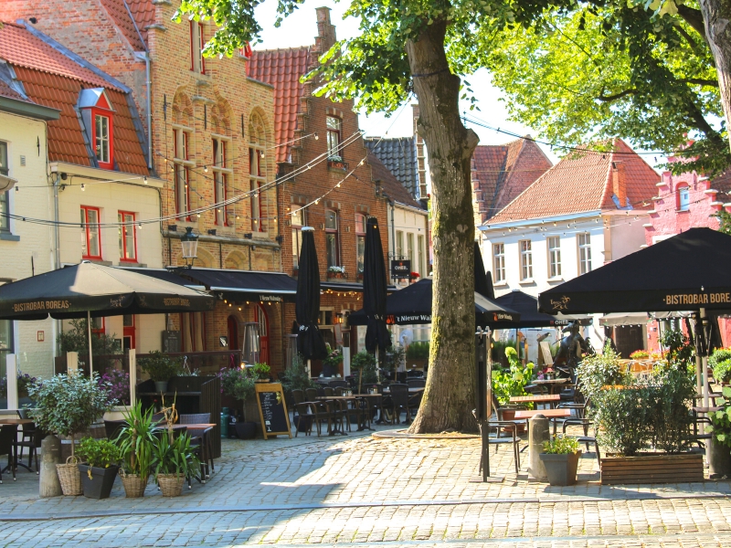 square with a central tree surrounded by traditional Dutch buildings