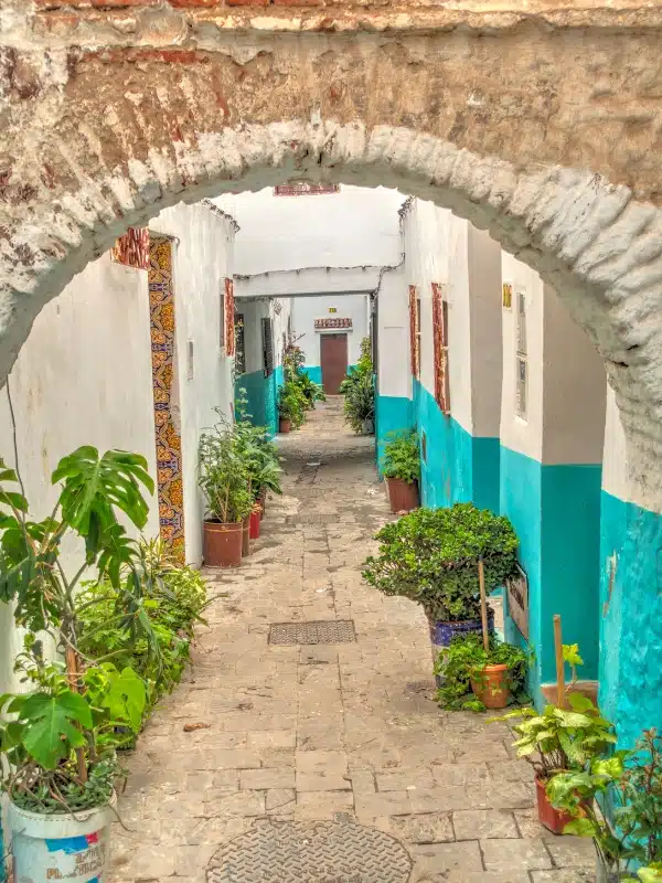 Narrow street with archeways lined with riads and plants in pots