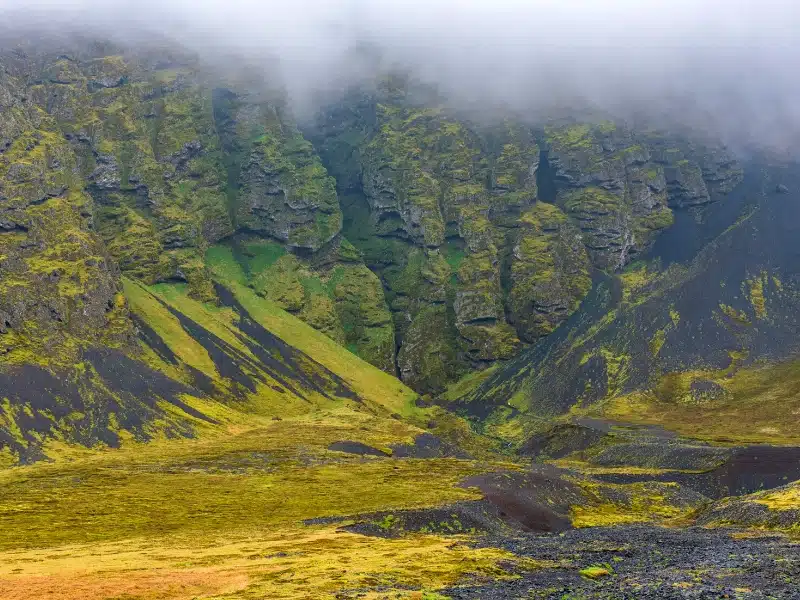 mossy lava field in Iceland