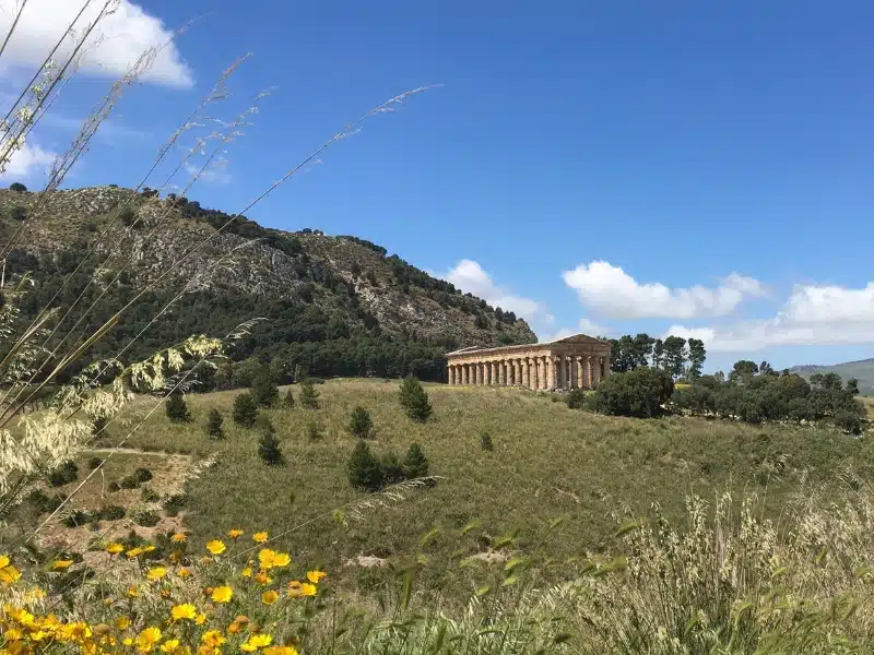 Ancient Greek temple on a hill with flowers and grasses in the foreground